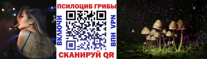 Купить  Лакинск  Галлюциногенные грибы мицелий 